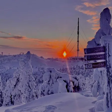 Kuusiruka *